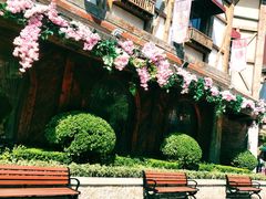 -郑州方特梦幻王国