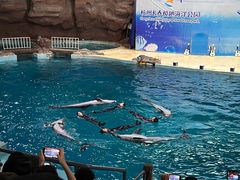 -杭州长乔极地海洋公园