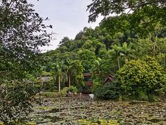 -野象谷景区