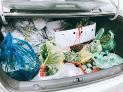 -龙大花卉苗木市场