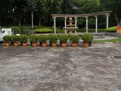 -十九路军淞沪抗日阵亡将士陵园