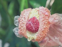 奈雪草莓魔法棒-奈雪的茶(国金中心店)