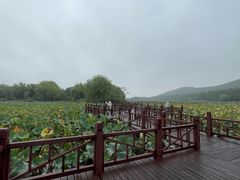 -云龙湖旅游景区