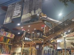 -卡通尼·Safari非洲探索乐园·生日会(金桥国际商业广场店)