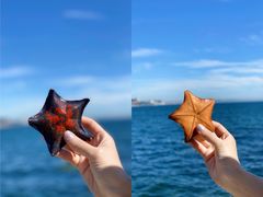 -泊石湾海滨浴场