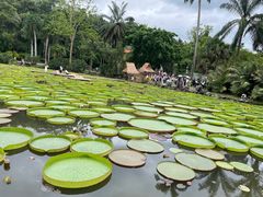 -中国科学院西双版纳热带植物园