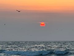 -威海国际海水浴场旅游区