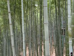 -陶祖圣境风景区