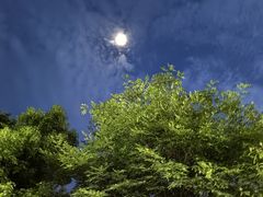 -宜城私房菜.臭鳜鱼(九华新街店)