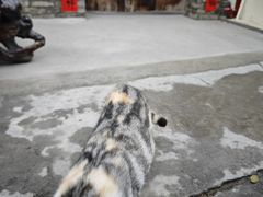 -三溪村