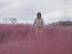 -白鹭湾湿地公园