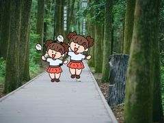 -同里国家湿地公园
