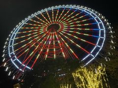 -芽庄珍珠岛游乐园