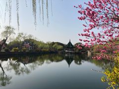 -无锡蠡湖国家湿地公园-蠡园
