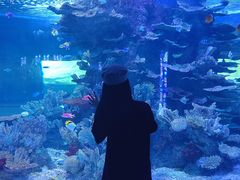 -左海海底世界
