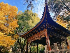 -汇龙潭