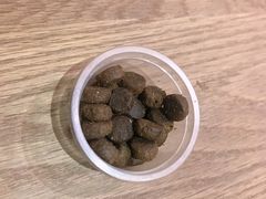 -柴务处·柴犬主题狗咖