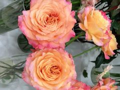 -Flower in(密渡桥店)