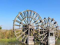 -宁波杭州湾国家湿地公园