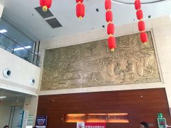 -河南中医药大学第一附属医院-医疗整形