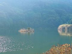 -广州市石门国家森林公园
