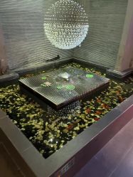 -苏亚医美·高端注射明星整形机构