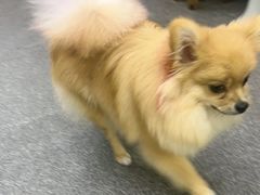 -老姐石板烧烤+铜炭火锅(总店)