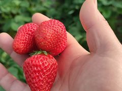 -九牧鱻·渝老鬼重庆火锅(人民路店)