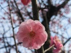 -漕湖湿地公园