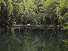 -棠湖公园