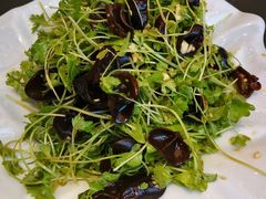 -鸿星花园酒家(银亿家园店)