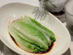 罗马生菜-庆春朴门