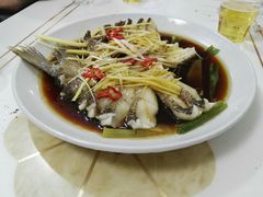 -煲来饱去冷水鱼