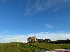 -大塘金香草谷
