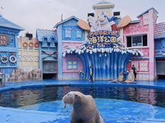 -华夏文旅海洋公园