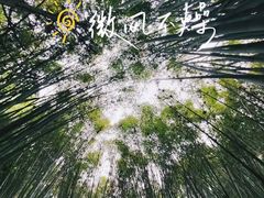 -黄埔油麻山森林公园