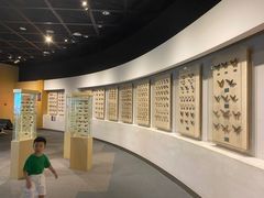 -陕西自然博物馆