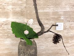 -九华山聚龙大酒店