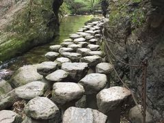-牛背梁国家森林公园