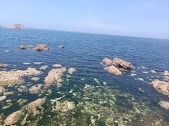 -养马岛旅游度假区
