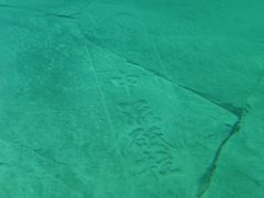 -白鹤梁水下博物馆
