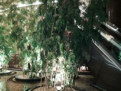 -上海红塔豪华精选酒店