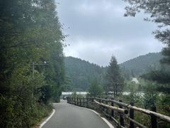 -武陵山森林公园