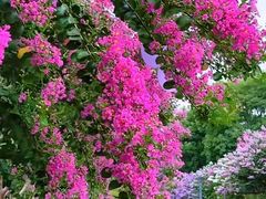 -杭州城北体育公园