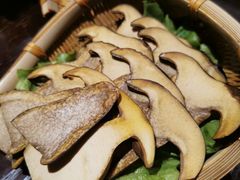 新鲜黑牛肝菌-滇野云南野生菌餐厅(陕西南路店)