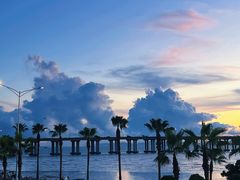 -宝安西湾红树林湿地公园