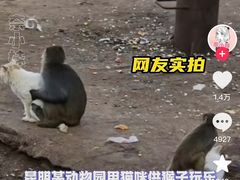 -昆明动物园