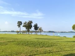 -漕湖湿地公园