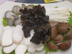 -芦月轩羊蝎子(北蜂窝店)