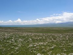 -青海湖国家重点风景名胜区